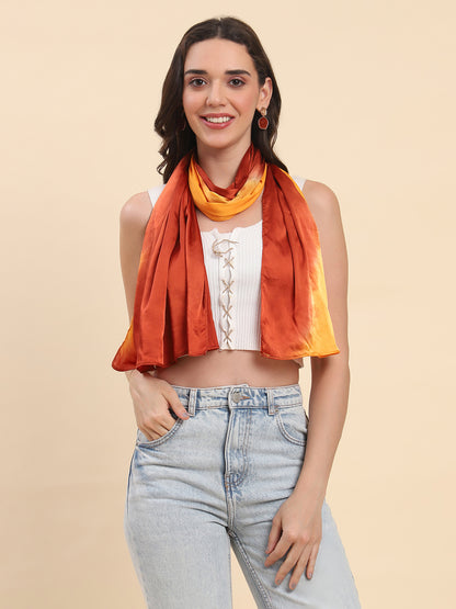 Ombré Shaded Satin Scarf