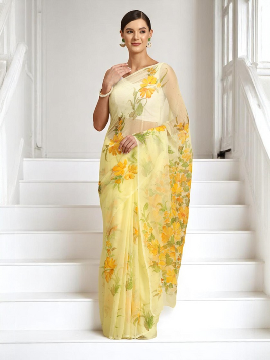 Hand-Painted Mukaish Saree