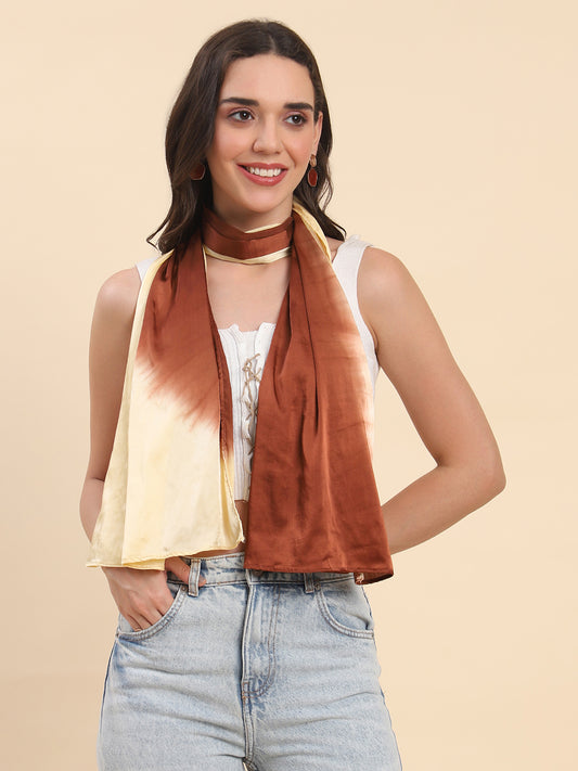Ombré Shaded Satin Scarf